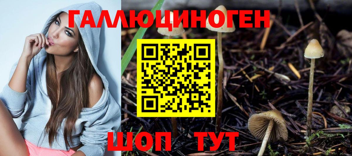 Псилоцибиновые грибы Psilocybine cubensis  Вход с VPN  Мариинск 